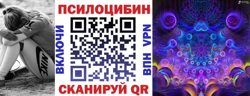 где найти   Глазов  Псилоцибиновые грибы MAGIC MUSHROOMS 