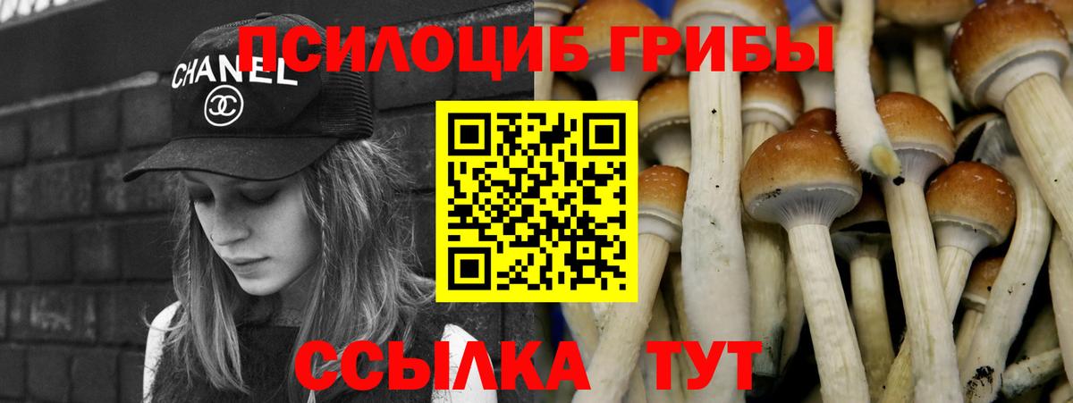 Псилоцибиновые грибы ЛСД Глазов